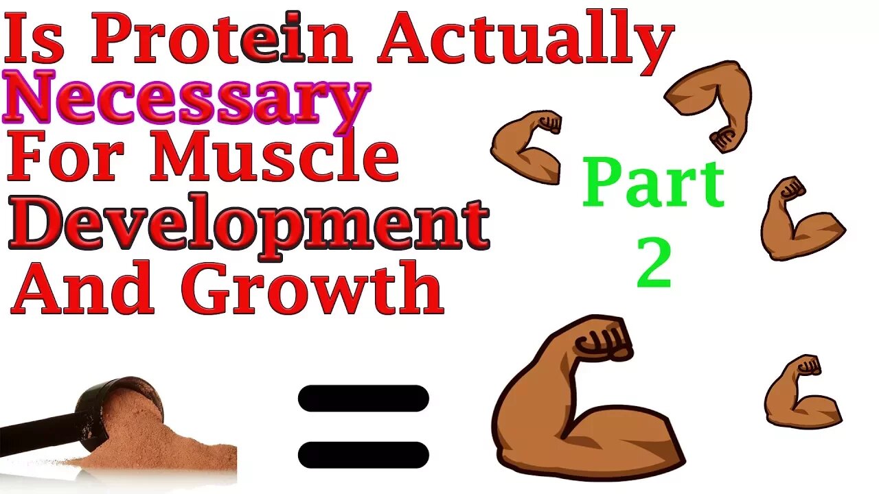 Is Protein Necessary For Muscle Growth (Part 2)