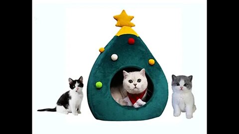 Best and affordable Christmas decorations and Gift/ luxury items #shorts