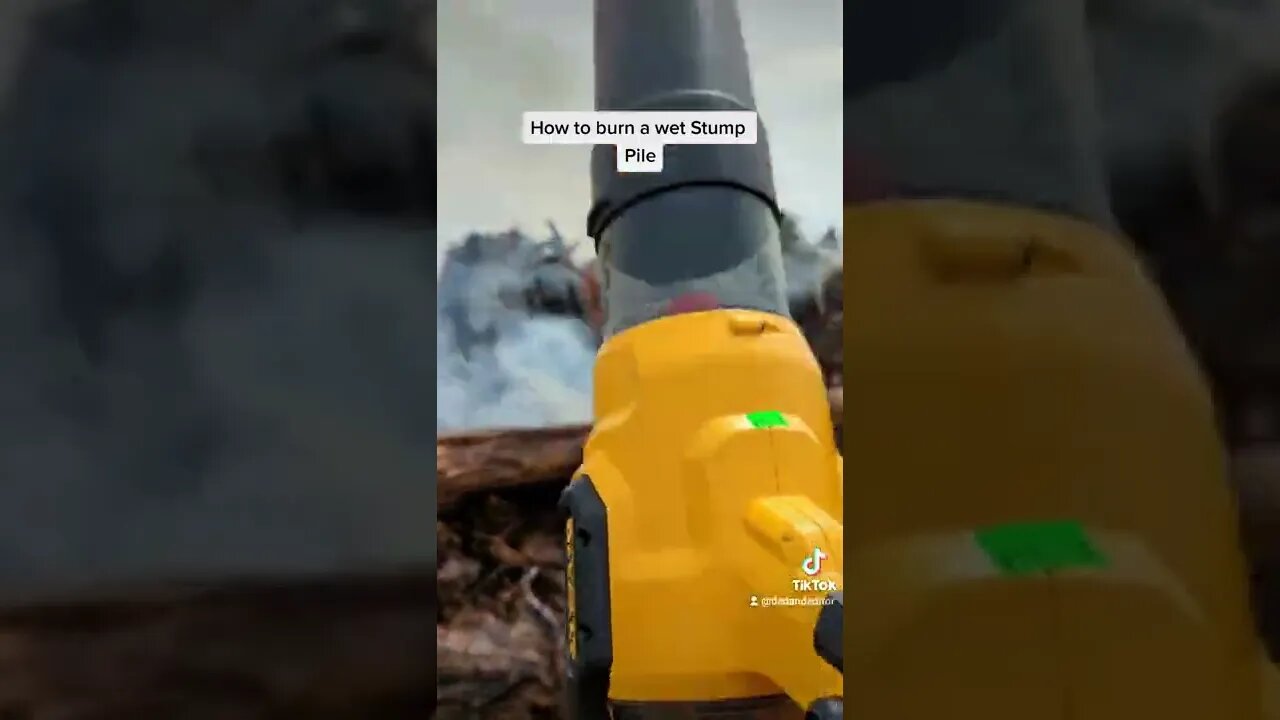 Starting a fire in a wet Stump pile