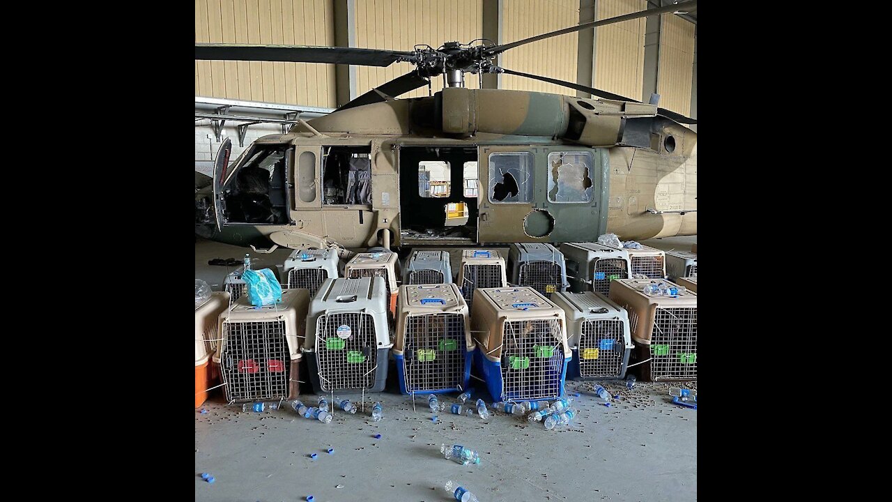 THE 82nd AIRBORNE COMMANDER ABANDONED DOZENS OF DOGS ALONGSIDE AMERICANS, PLANES,