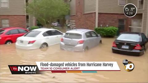 Flood-damaged vehicles from Hurricane Harvey may head to car lots