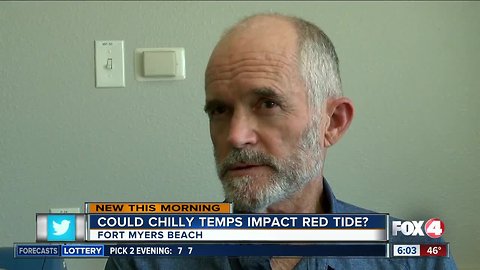 Could cold snap kill off red tide blooms?