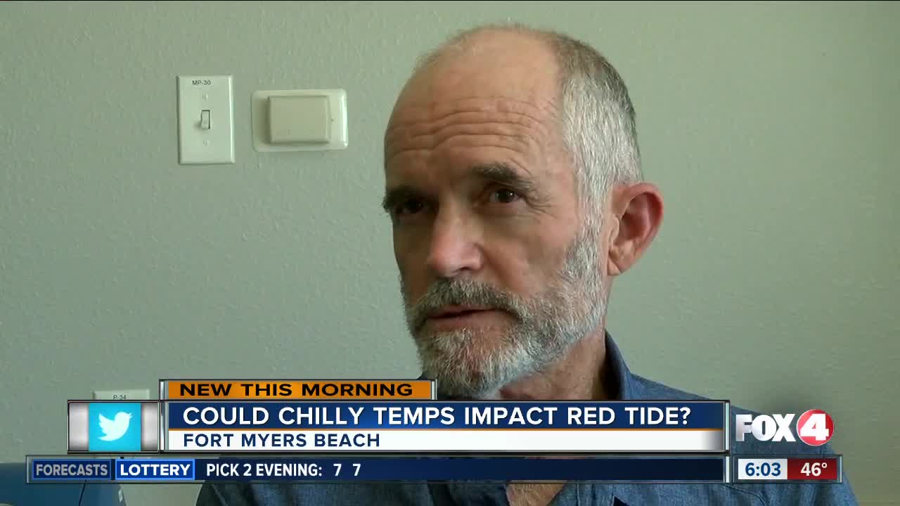 Could cold snap kill off red tide blooms?