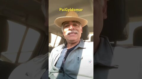 Pai Gyldomar