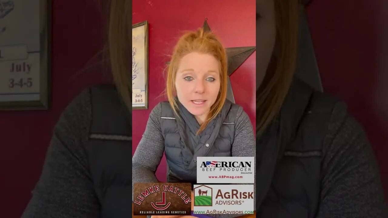 Cattle News Central 2-9-22