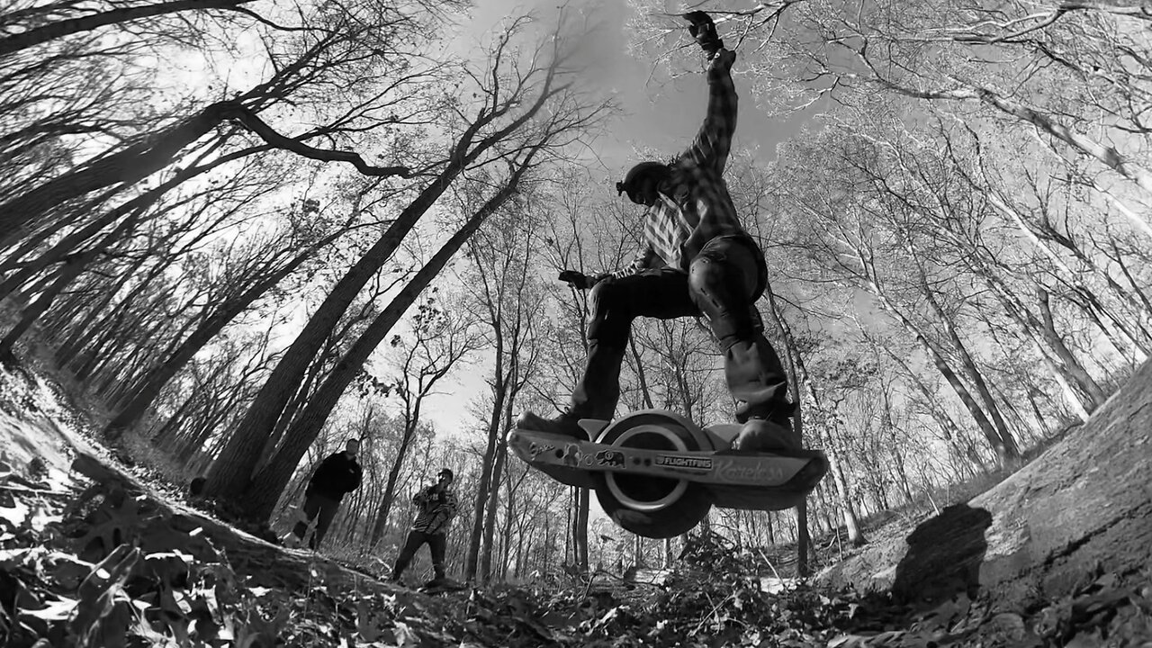 Frost Woods is a playground!