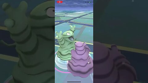 Shiny Compilation
