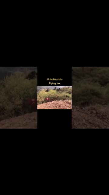 Most Amazing and trending video||relaxing your mind||trendig videos|| #shorts #trending #viral #live