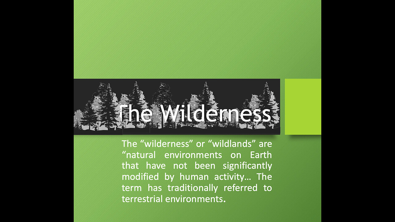 The Wilderness: Is this a place of fear or a place of safety?