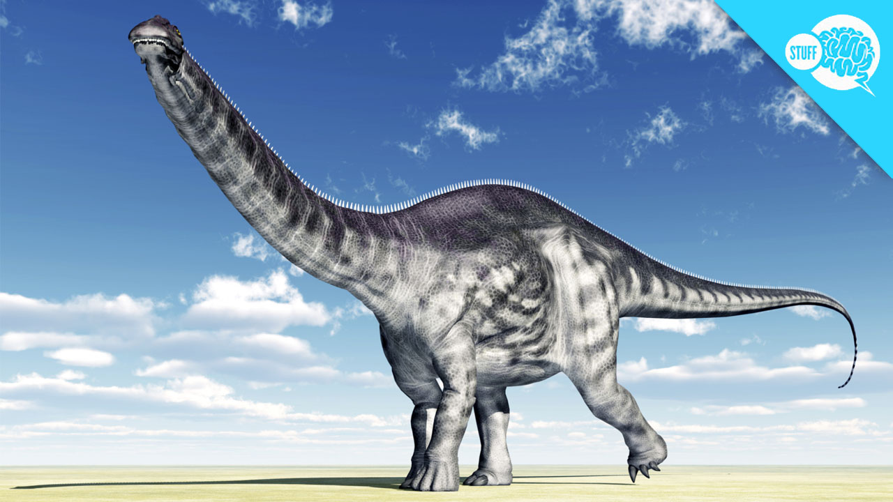 BrainStuff: Did The Brontosaurus Exist?