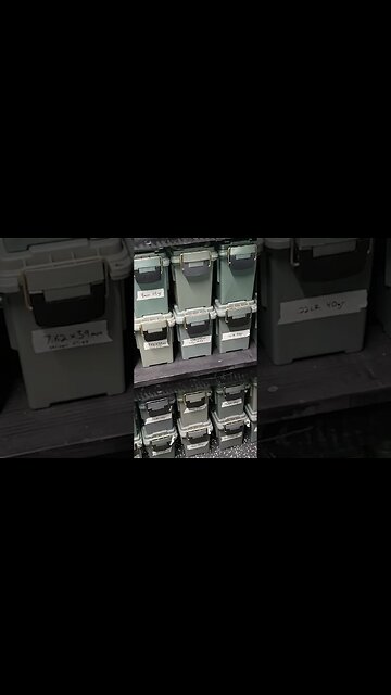 Bulk Ammo Storage!! #ammo #prepping