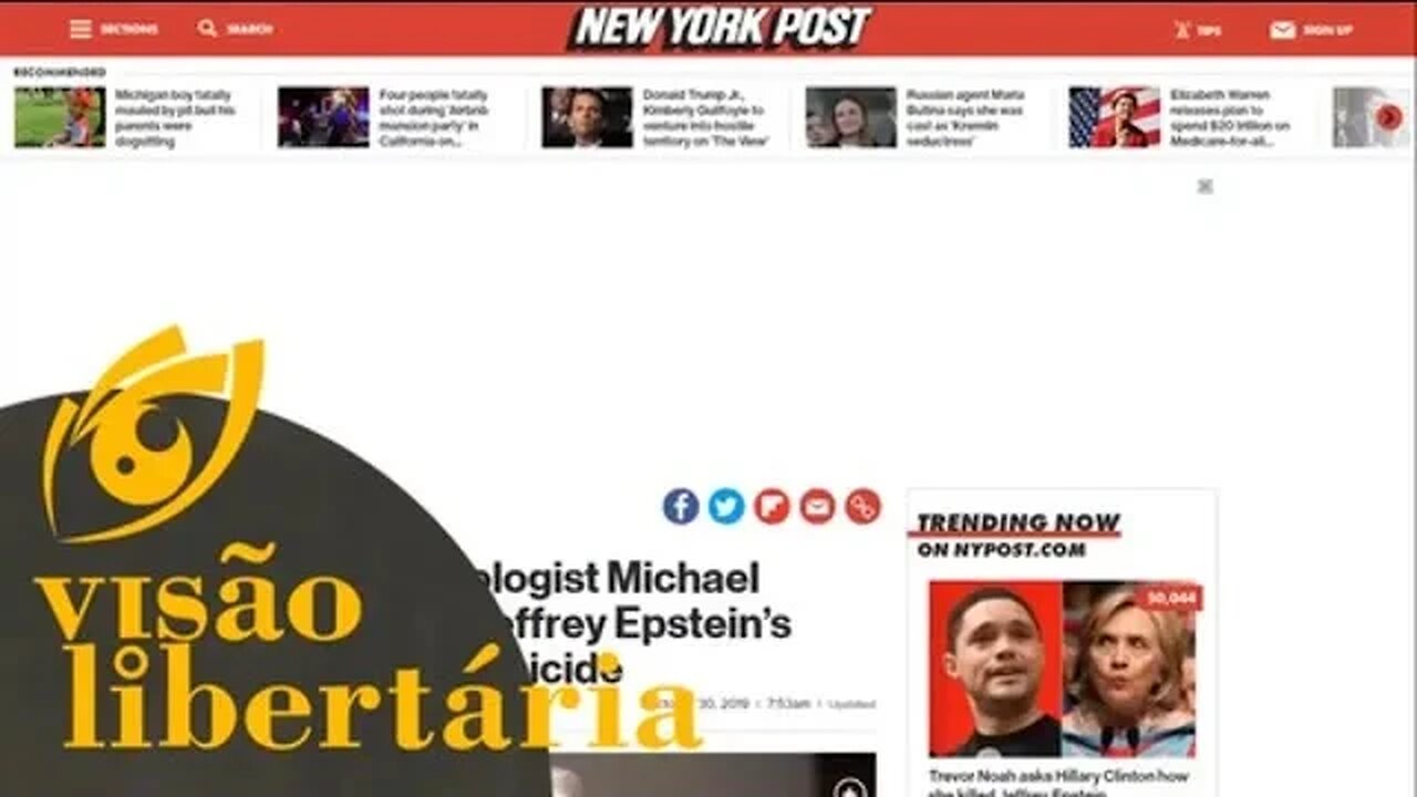 Corpo de Jeffrey Epstein tinha sinais de homicídio - HD | Visão Libertária - 02/11/19 | ANCAPSU