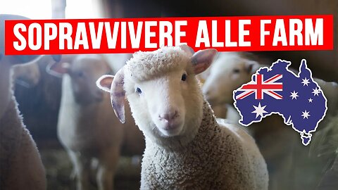 Australia 🇦🇺 : lavorare in farm
