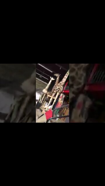 Underground military base? #shorts #youtubeshorts #military #militarybase #underground