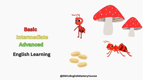 Basic, Intermediate & Advanced English Learning (American); Lesson 2
