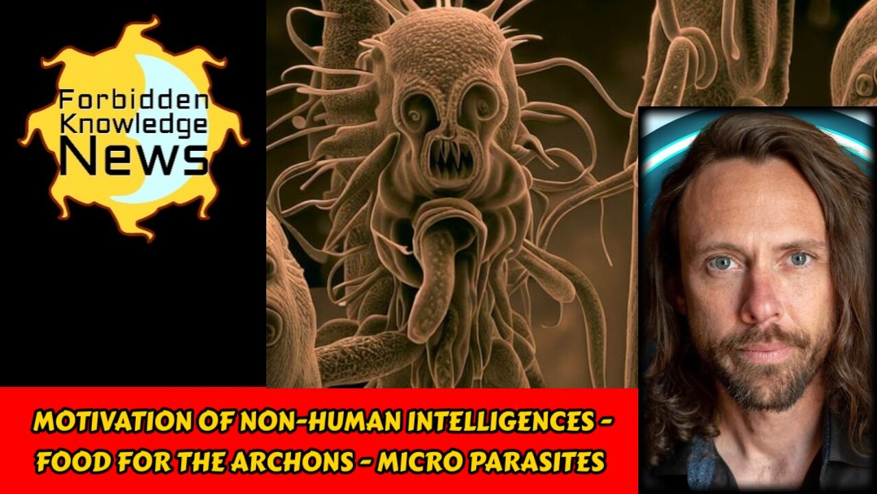 Motivation of Non-human Intelligences - Food for the Archons - Micro Parasites | Brandon Thomas