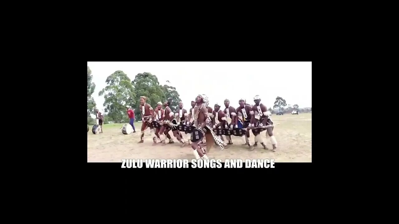 ZULU WARRIOR DANCE 2 #Shorts