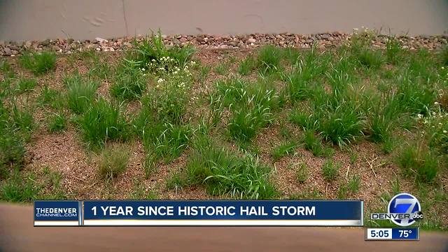 Denver developer found an unseen upside of green roofs during last year's hailstorm