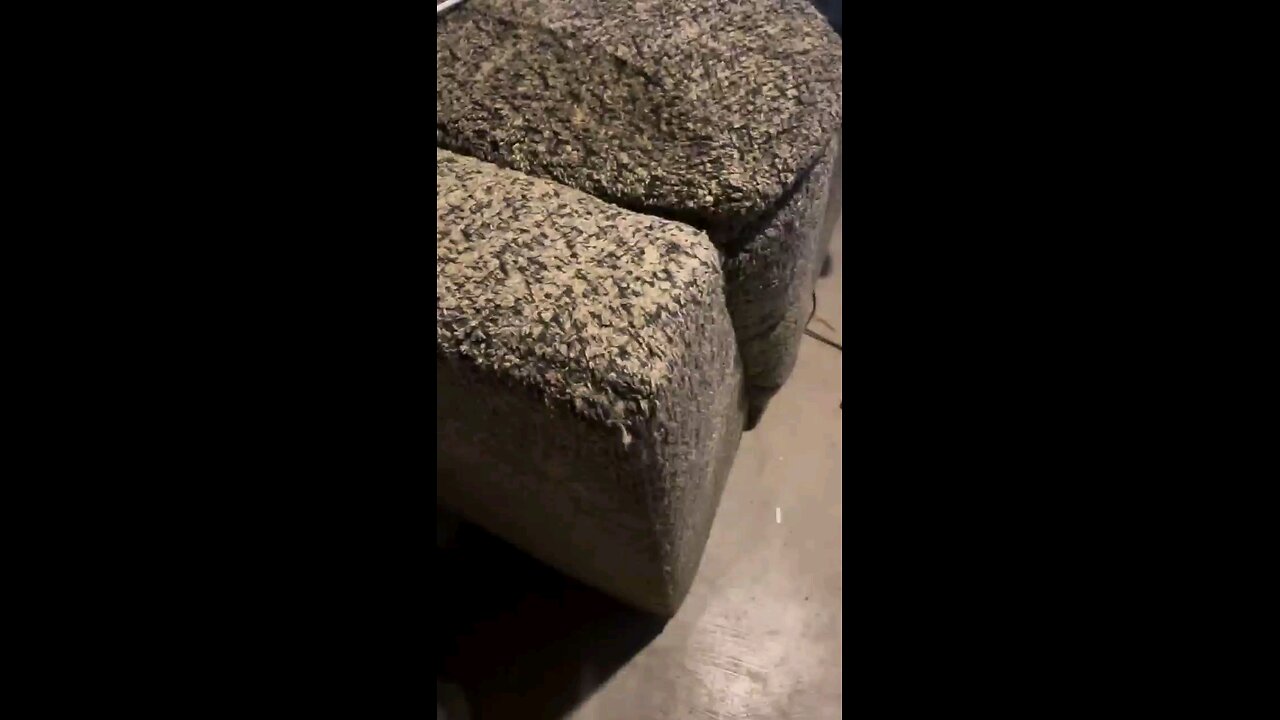 funny videos