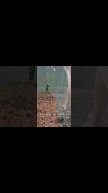 The Deeper Purpose of Suffering and Trauma