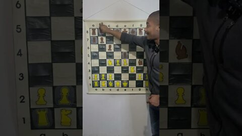 What is the Fantasy Variation in Chess?