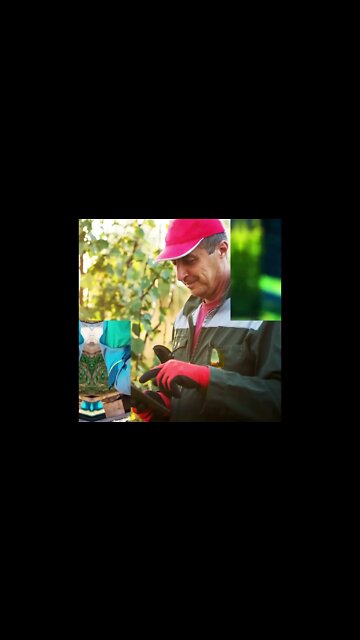 4 tips for perfect property caretaker