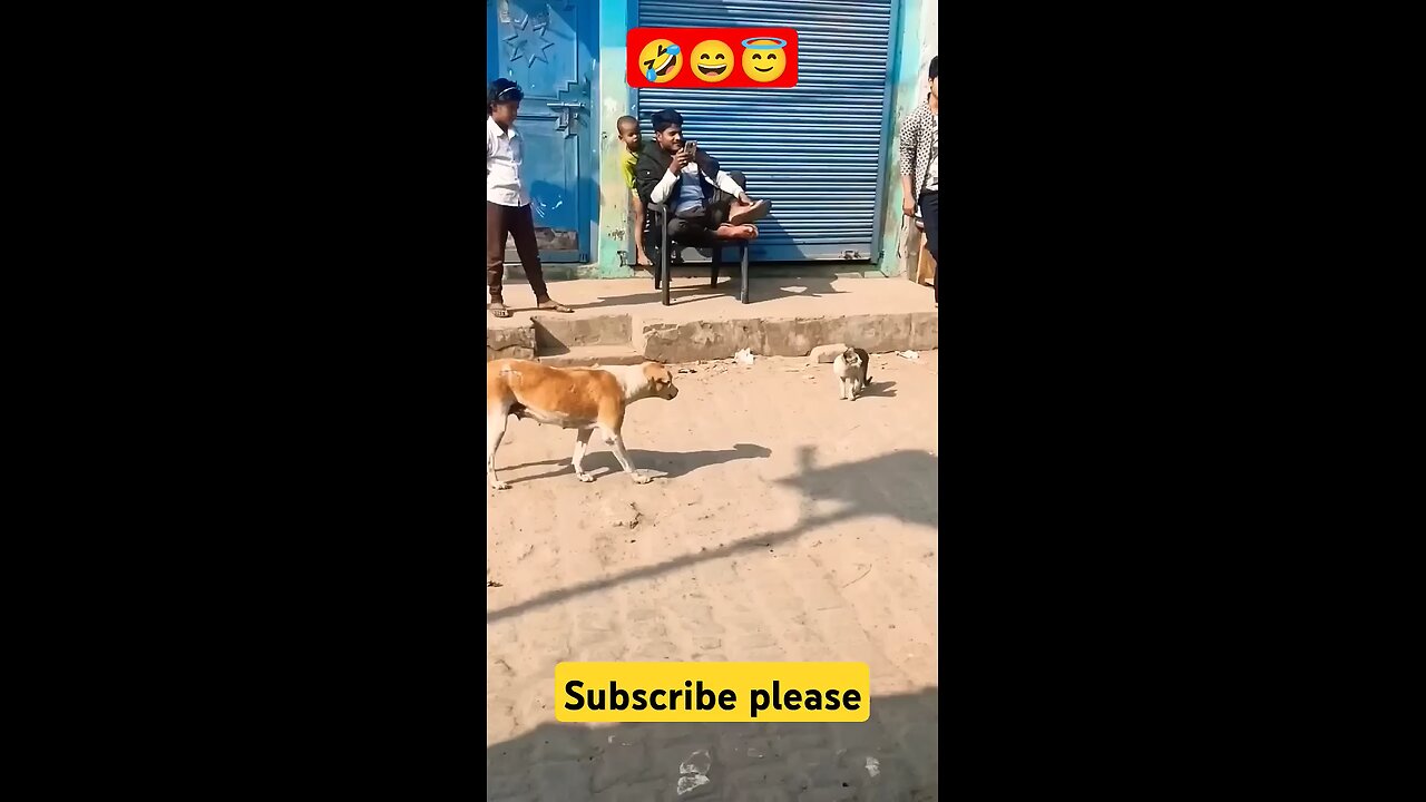 funny entertainment videos 😁😁😺😺