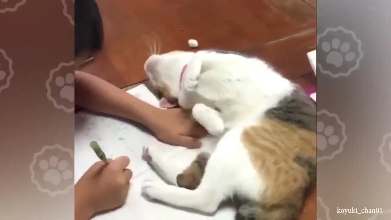 Owners are CRYING, you are LAUGHING