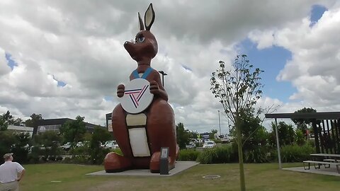 Matilda the Kangaroo. South of Gympie, Queensland.