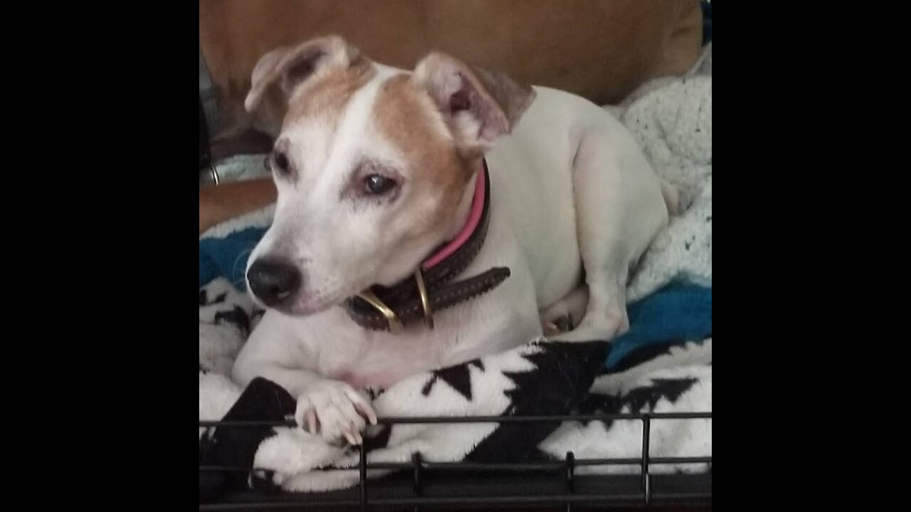 Matilda