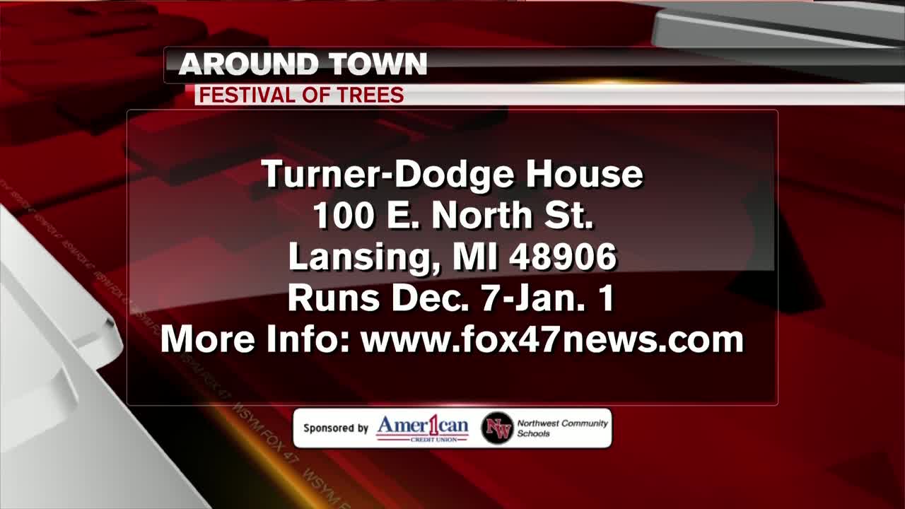 Around Town - Festival of Trees - 12/4/19