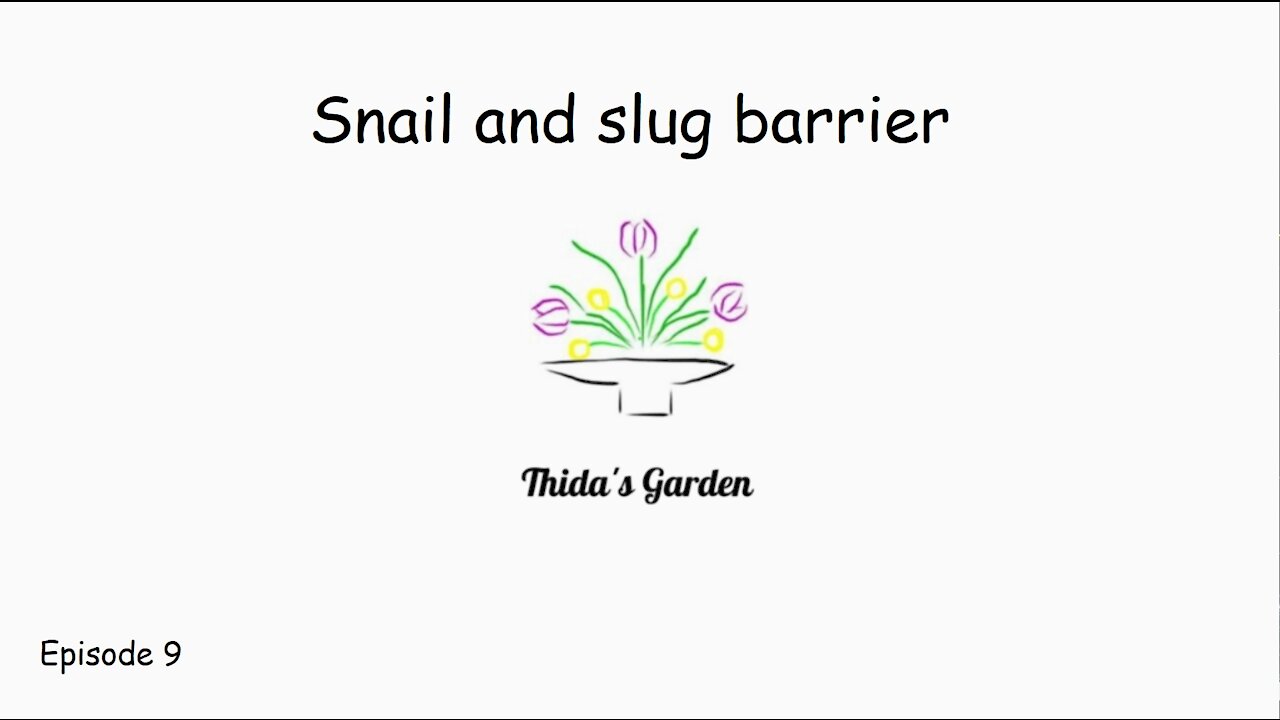 My snail and slug barrier
