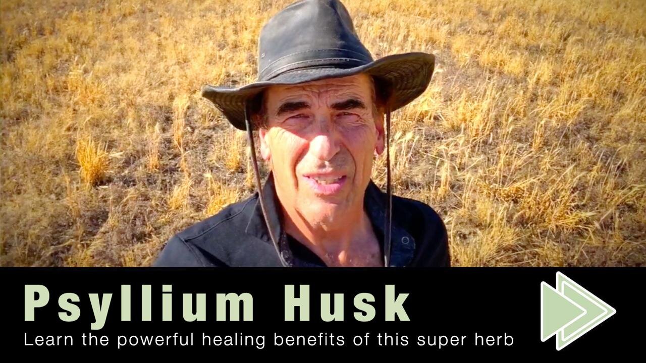 The Health Benefits of Psyllium Husk