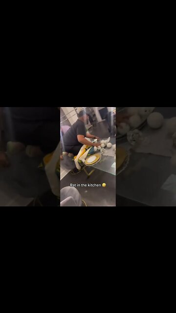 Rat in the kitchen 🤣 #funny #memes #shorts