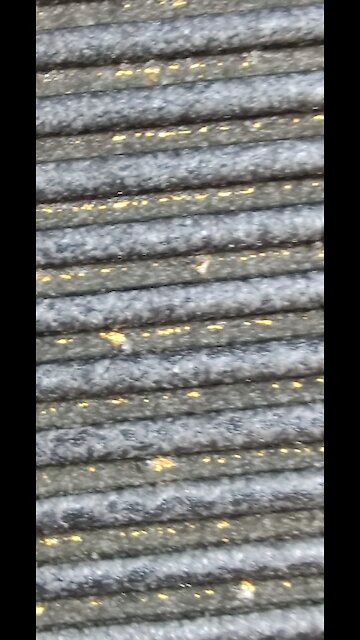 Något guld i rännan ?