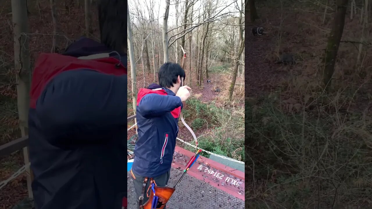 66LBS @ 31” 3 TARGETS WITH SIDE KHATRA