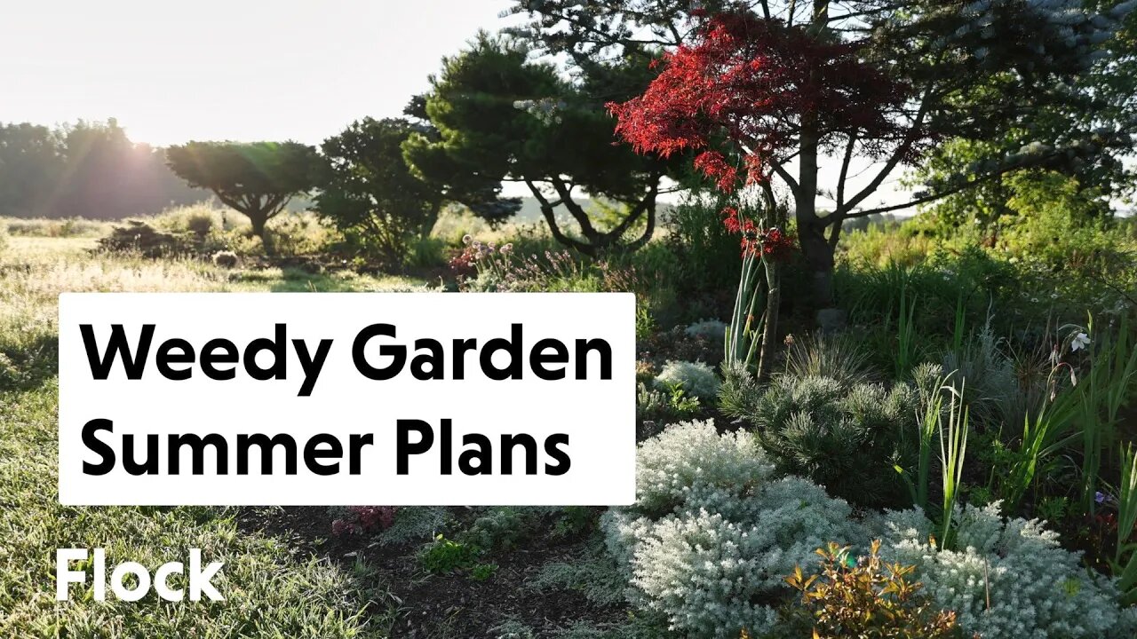 Big Plans for WEEDY GARDENS: Progress Tour — Ep. 193