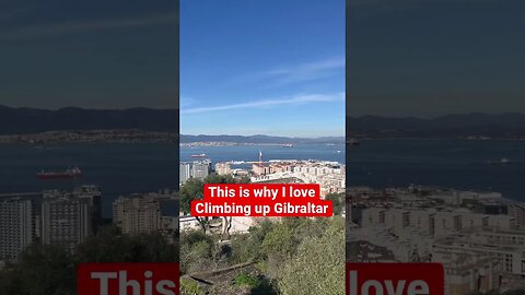 Views From Up on Gibraltar #shorts