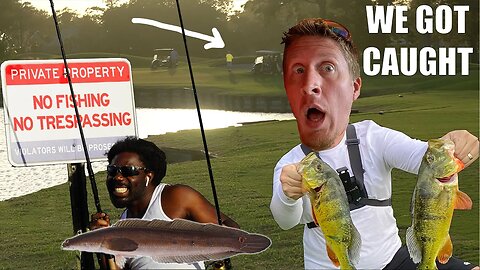 CAUGHT golf course FISHING Peacock Bass & Snakeheads