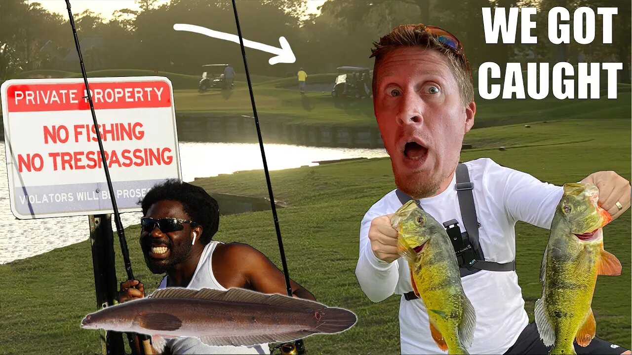 CAUGHT golf course FISHING Peacock Bass & Snakeheads