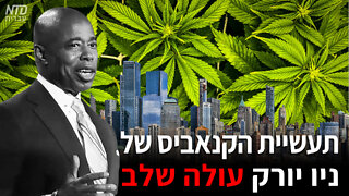 תעשיית הקנאביס של ניו יורק עולה שלב