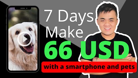 【Derrick Lim】How to use Rumble earn money EASY & FAST！| 随便拍宠物，7天爽赚66美金！