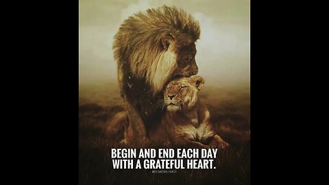 Daily Inspirational Quotes