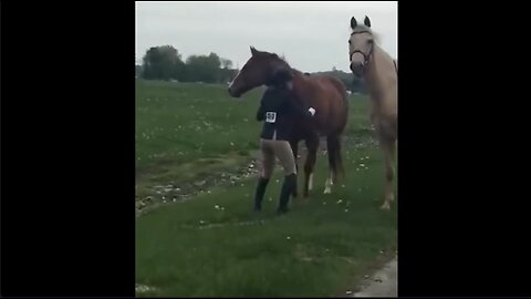 16-year-old girl chases horse on highway