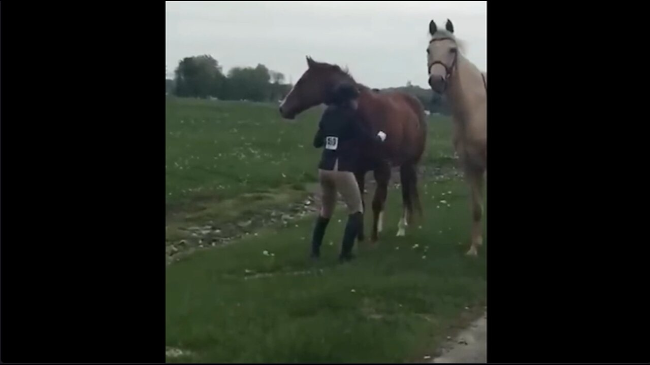 16-year-old girl chases horse on highway