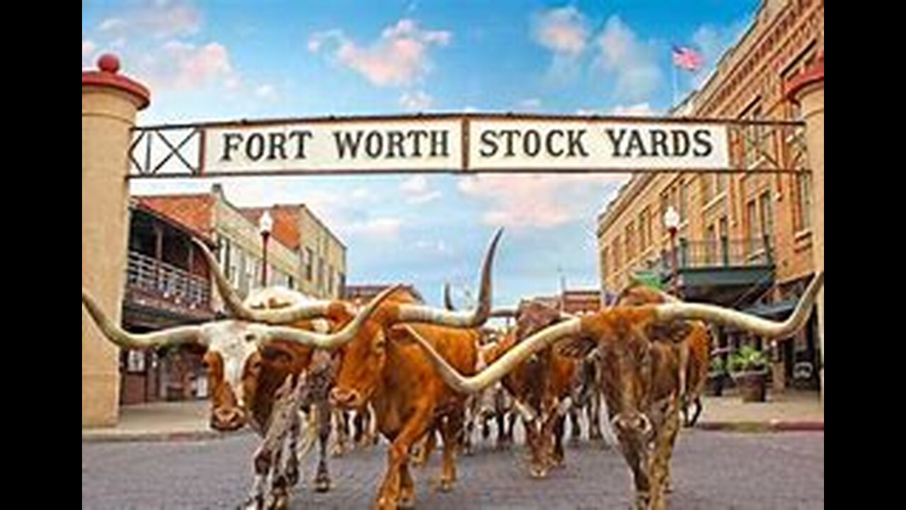 Where Should I Go? Fort Worth Texas