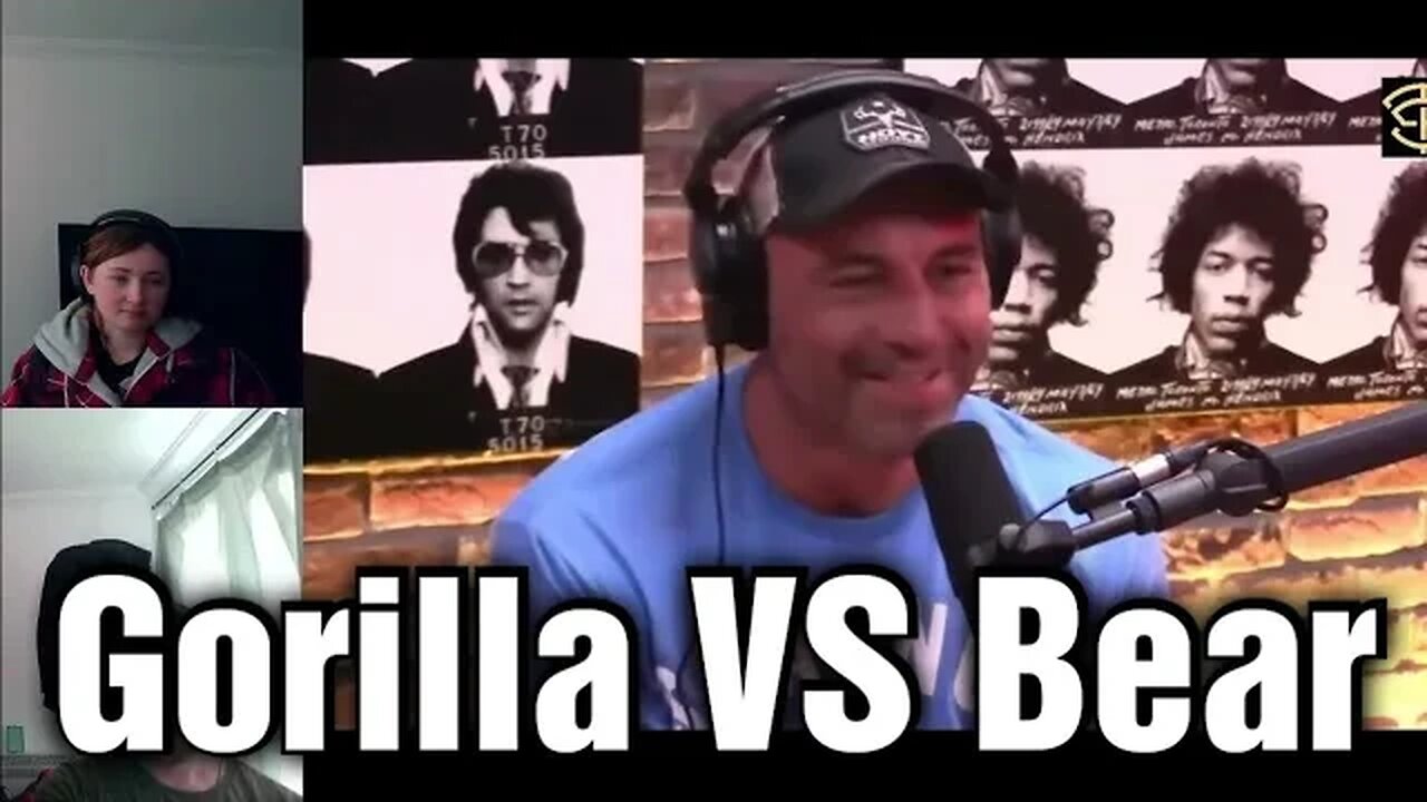 Reacting To Joe Rogan - Gorrila VS Bear
