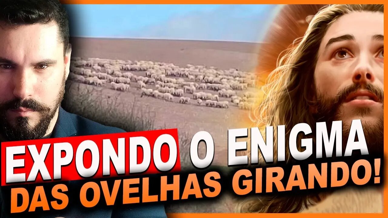 EXPONDO O ENIGMA DAS OVELHAS GIRANDO!