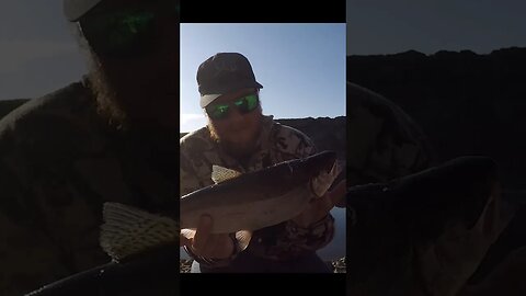 Catch & Cook on the bank! 🎣#shorts