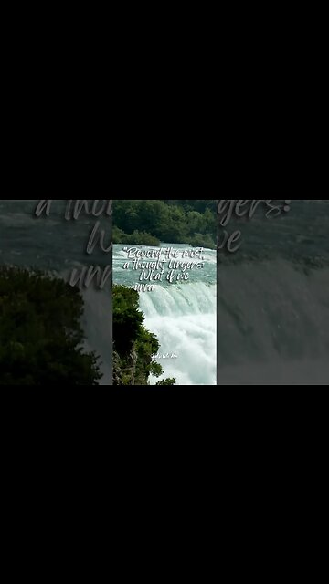 Surviving Niagara's Plunge